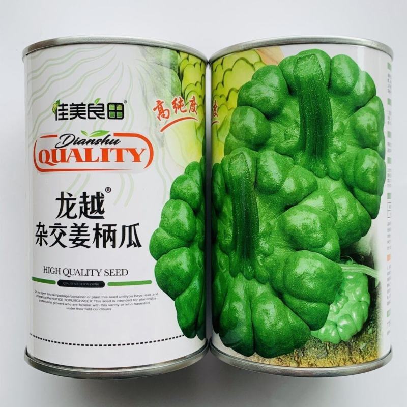 龙越杂交姜柄瓜种子早熟蔓生南瓜瓜种籽早熟春秋脆甜粉糯姜柄