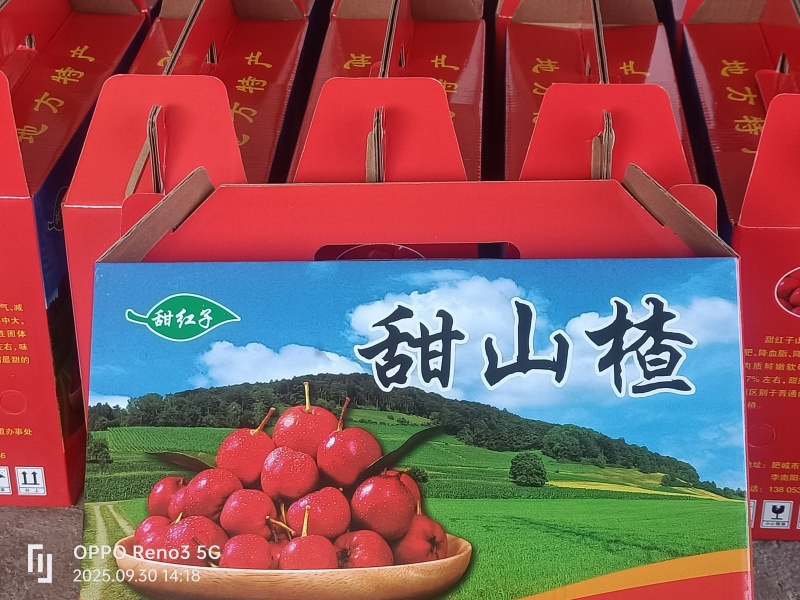 精品甜红子山楂，礼品盒包装，走亲访友，馈赠佳品