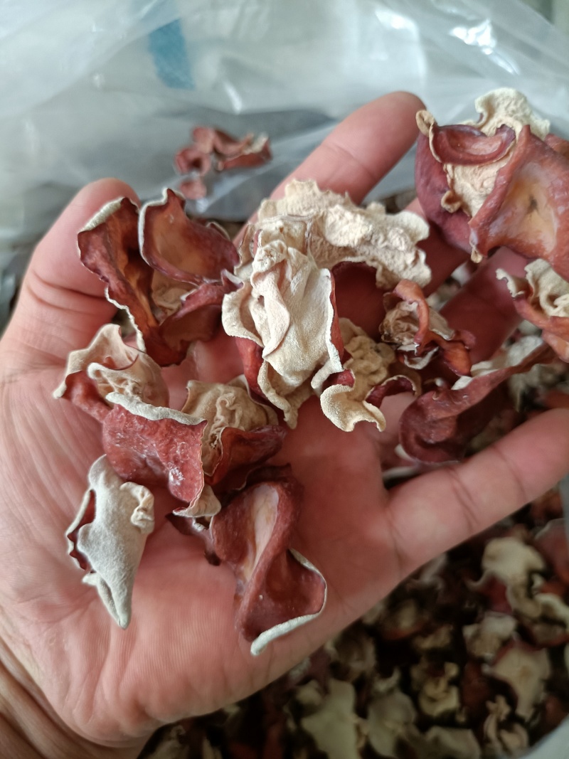 贵妃木耳，自产自销粉木耳，贵妃粉木耳电商平台粉木耳专用，