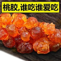 桃胶正宗桃胶颗粒老树诚信经营合作共赢中药材