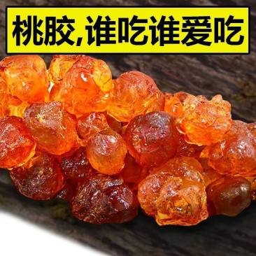 桃胶正宗桃胶颗粒老树诚信经营合作共赢中药材