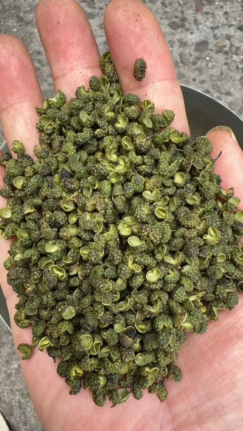 藤椒、花椒重庆青花椒大量上市，全国发货，开口率90%