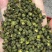 藤椒、花椒重庆青花椒大量上市，全国发货，开口率90%
