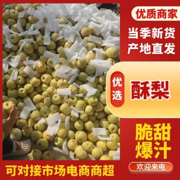 《梨享家》酥脆一号，宁陵酥梨大量现货，产地直销，欢迎各位