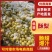 《梨享家》酥脆一号，宁陵酥梨大量现货，产地直销，欢迎各位