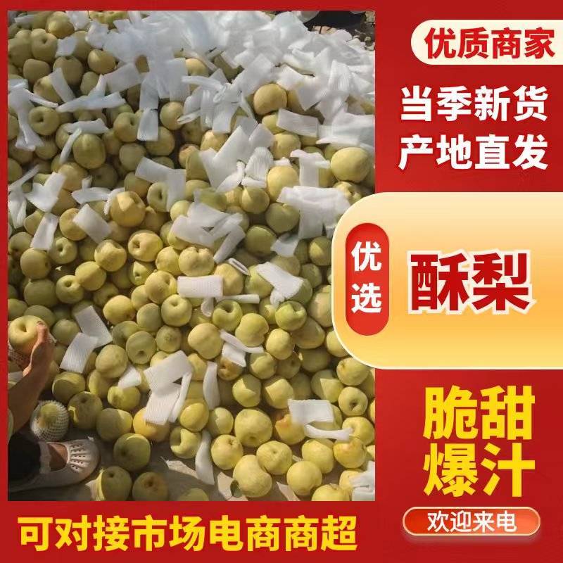 《梨享家》酥脆一号，宁陵酥梨大量现货，产地直销，欢迎各位