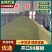 花椒青花椒重庆青花椒大量上市，开口率90，支持视频看货