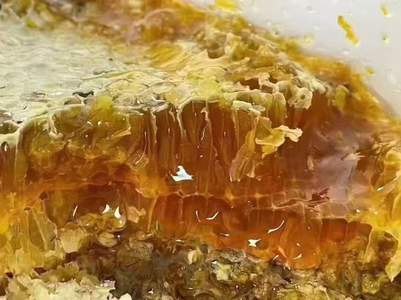 大挂蜜大量上市，产地直发，品质保证，服务周到，诚信经营