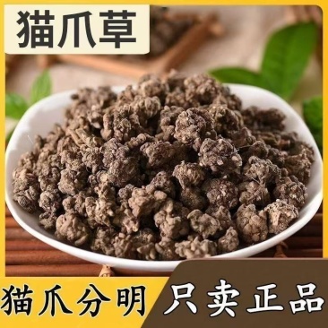 猫爪草正宗正品新鲜无硫猫抓草中药材合作共赢
