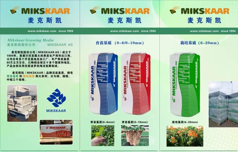 各种规格育苗穴盘育苗盘蔬菜育苗盘各种材质育苗盘
