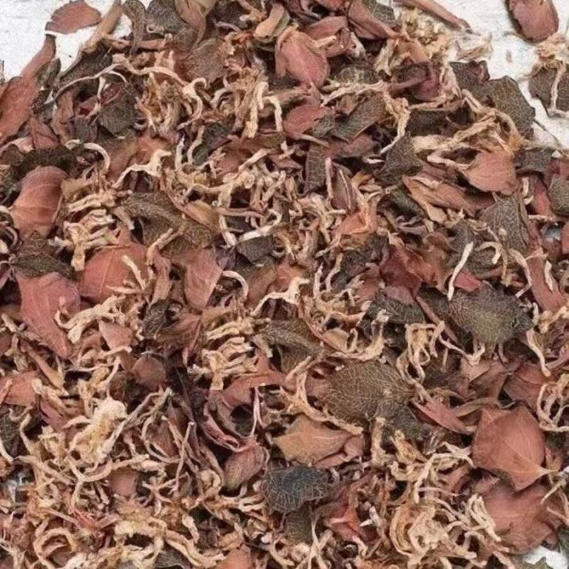 金线莲野生家种中药材产地直销诚信经营合作共赢