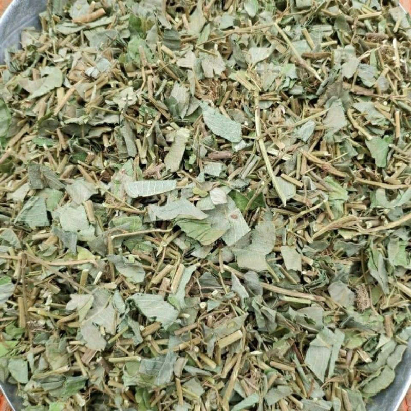 金钱草干草药金前草中药材合作共赢诚信经营