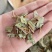 金钱草干草药金前草中药材合作共赢诚信经营
