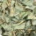 金钱草干草药金前草中药材合作共赢诚信经营