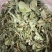金钱草干草药金前草中药材合作共赢诚信经营