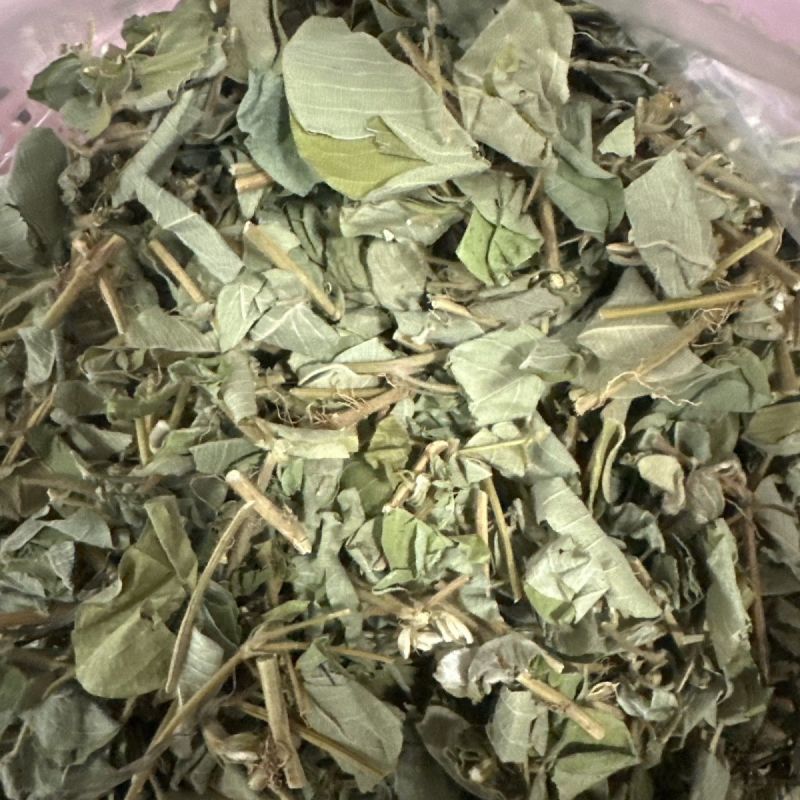 金钱草干草药金前草中药材合作共赢诚信经营