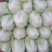 夏阳白菜，翠嫩无丝道，可生吃，伴菜下饭，美味佳肴