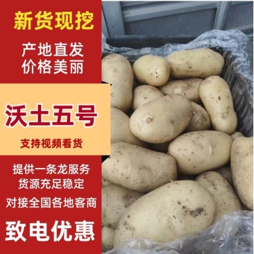 2026年精品沃土5号土豆黄皮黄心口感粉糯保质保量