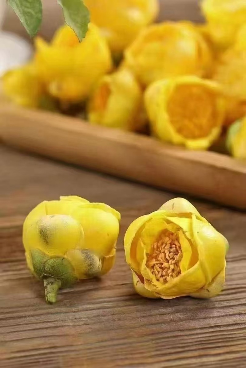 金花茶金茶花养生茶颜色金黄朵型漂亮半开全开骨朵规格全泡水