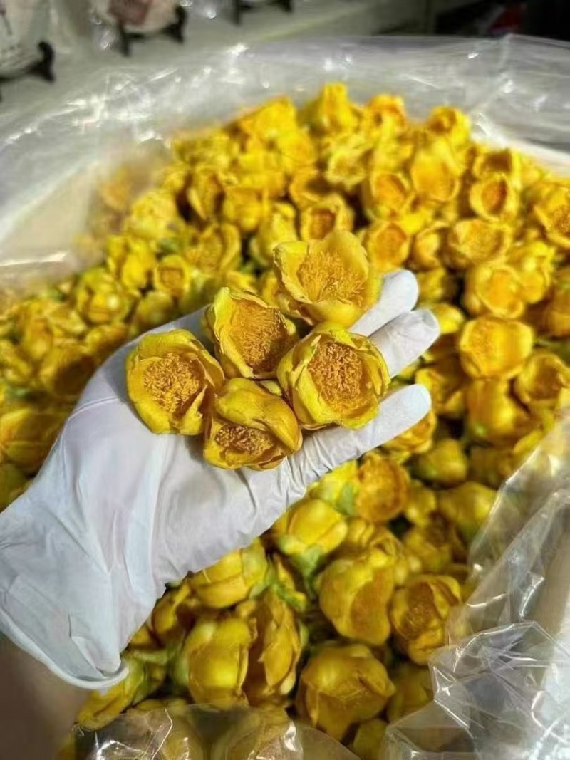 金花茶金茶花养生茶颜色金黄朵型漂亮半开全开骨朵规格全泡水