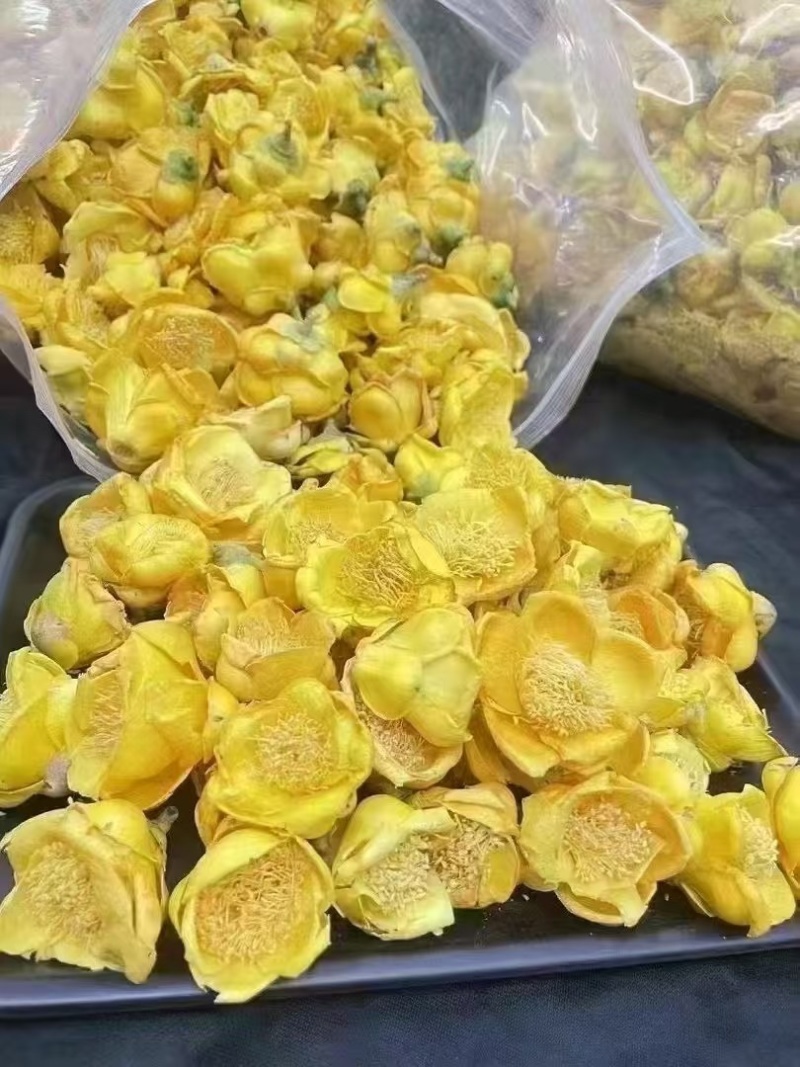金花茶金茶花养生茶颜色金黄朵型漂亮半开全开骨朵规格全泡水