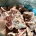多肉牛脊骨块，分割好的，价格美丽，一件也是批发价