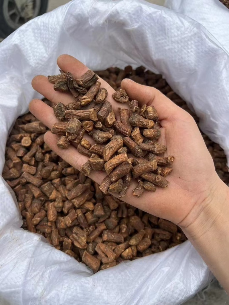 蒲公英根颗粒粗细都有蒲公英跟茶批发代发野生炒蒲公英婆婆丁