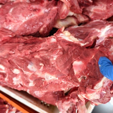 肉脖骨