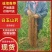 精品白玉山药品质保证产地直发价格优惠诚信经营