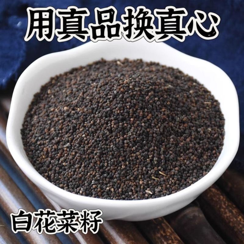 白花菜子中药材无硫精选正品中药材合作共赢诚信经营