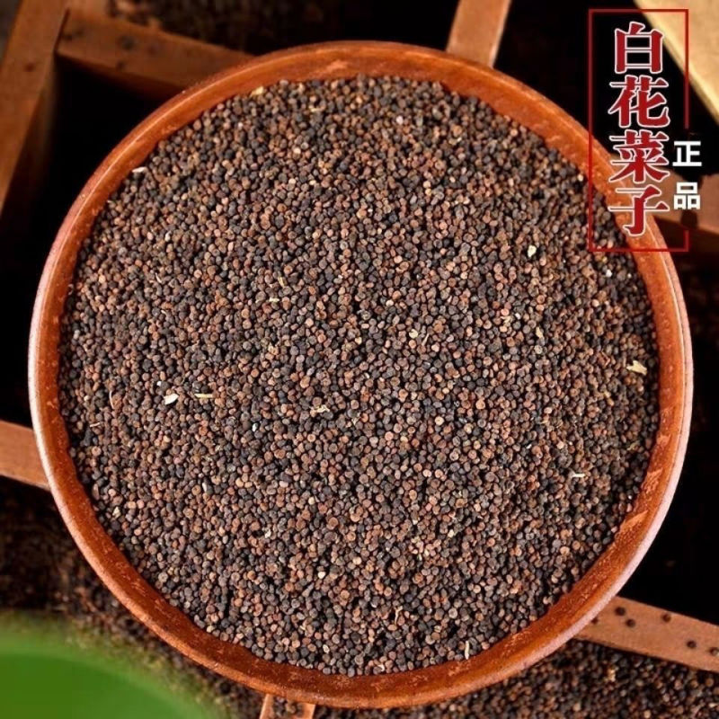 白花菜子中药材无硫精选正品中药材合作共赢诚信经营