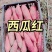 哈蜜西瓜红龙九烟薯大量现货一手货源并有专业团队为你服务