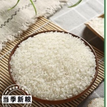 包邮“聚福财”珍珠香米，生长环境生态化，无污染，全国发货