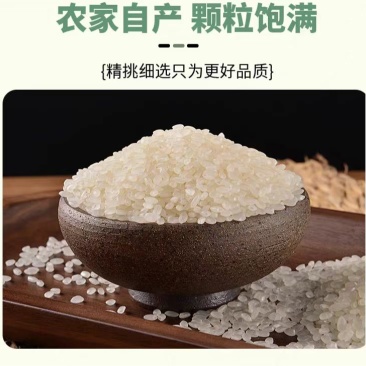 自然水，小粒香大米，大量现货，运费自理，欢迎咨询