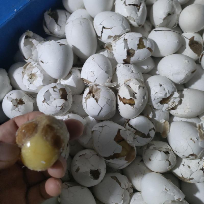 活珠子熟