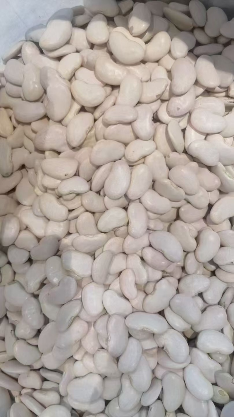 白芸豆厂家大货批发云南豆子白豆子雪豆大白扁豆山货直播供货