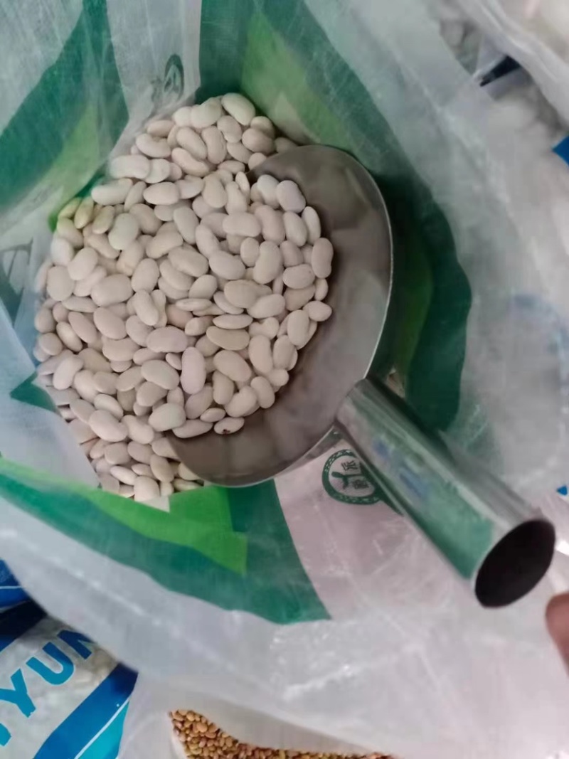 白芸豆厂家大货批发云南豆子白豆子雪豆大白扁豆山货直播供货