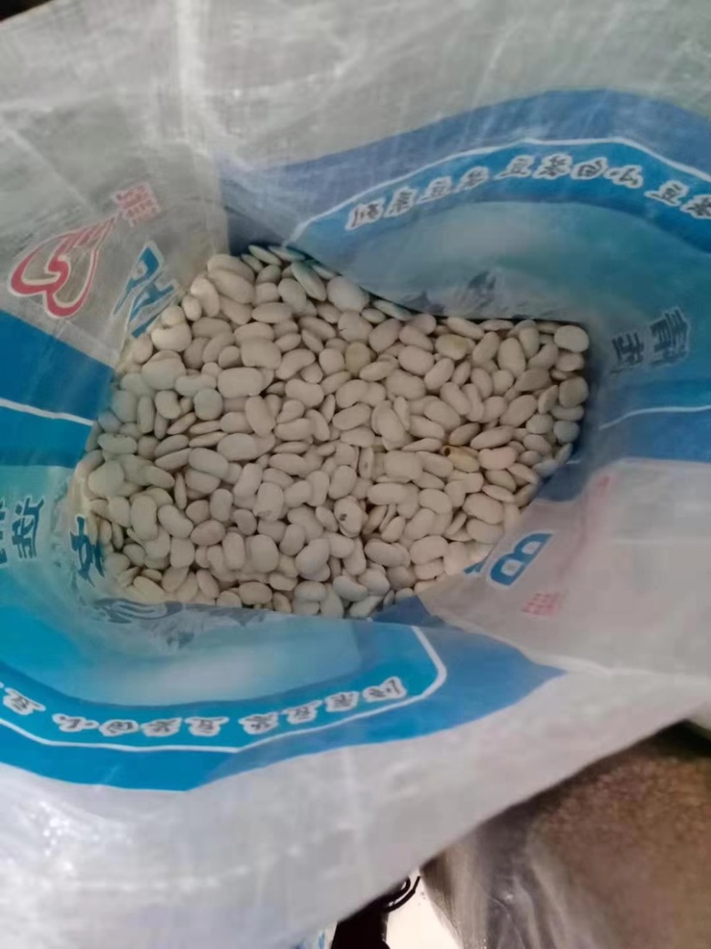 白芸豆厂家大货批发云南豆子白豆子雪豆大白扁豆山货直播供货
