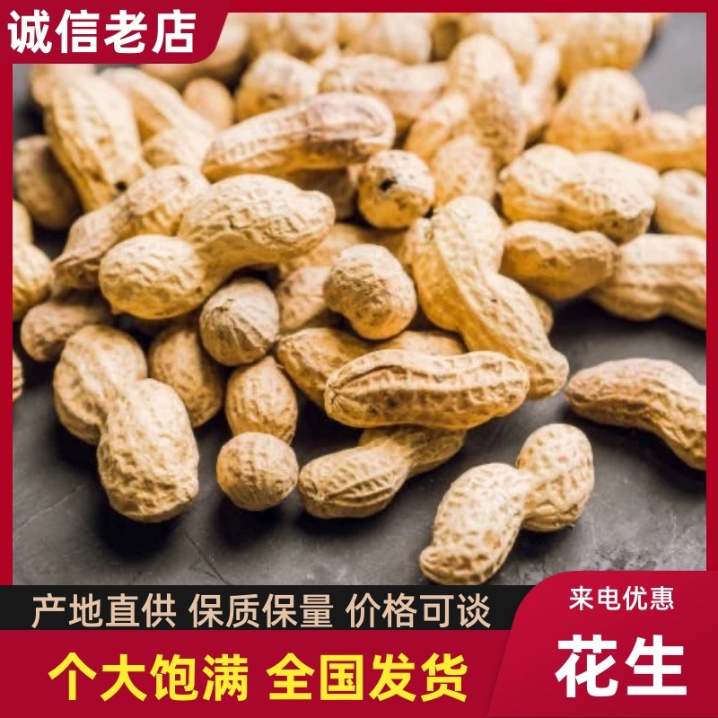 大颗带壳花生自然成熟口感清甜产地直供量大从优