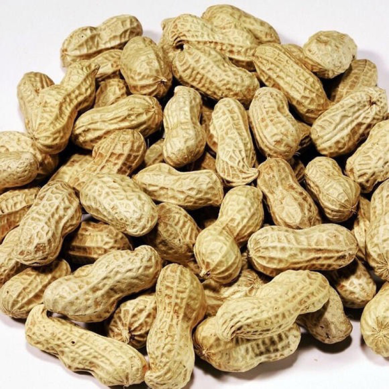 大颗带壳花生自然成熟口感清甜产地直供量大从优