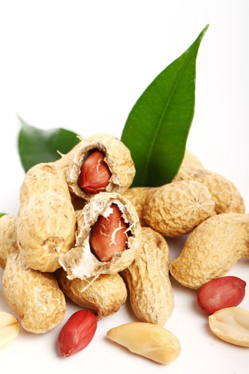 大颗带壳花生自然成熟口感清甜产地直供量大从优