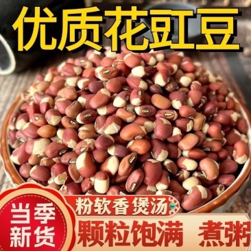 花豆花豇豆2025当季新货颗粒饱满常年有货厂家直销