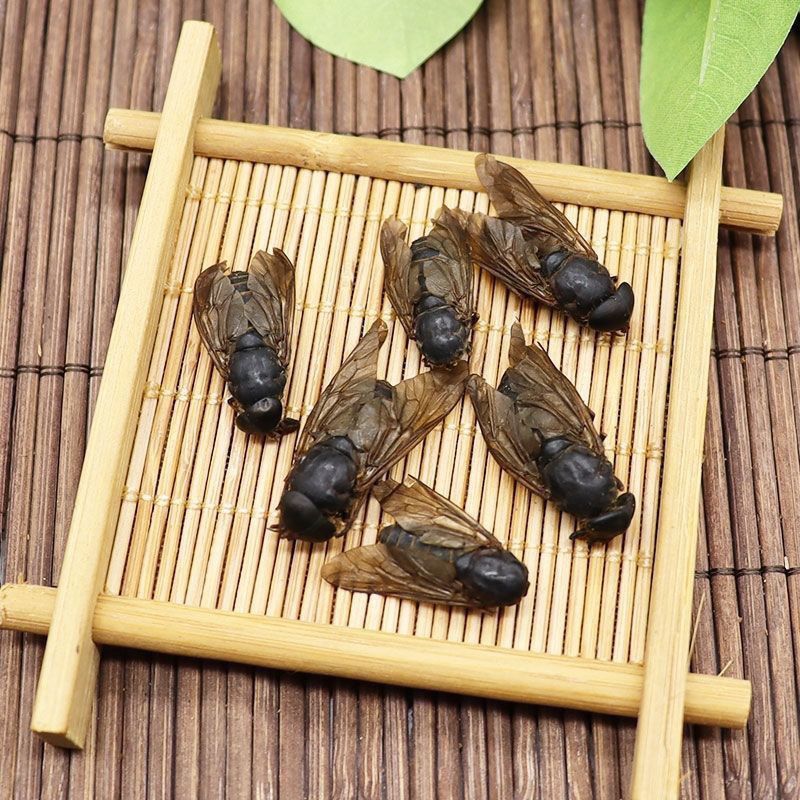 牛虻虫中药材正宗新货干货诚信经营中药材合作共赢