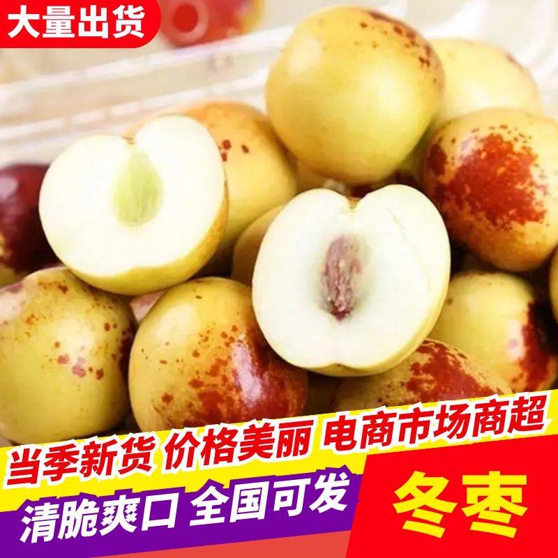 【沾化冬枣】山东产地直发可一件代发看货论价冬枣大枣