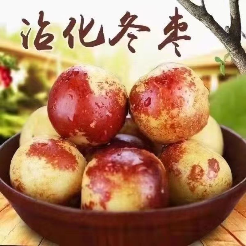 【沾化冬枣】山东产地直发可一件代发看货论价冬枣大枣