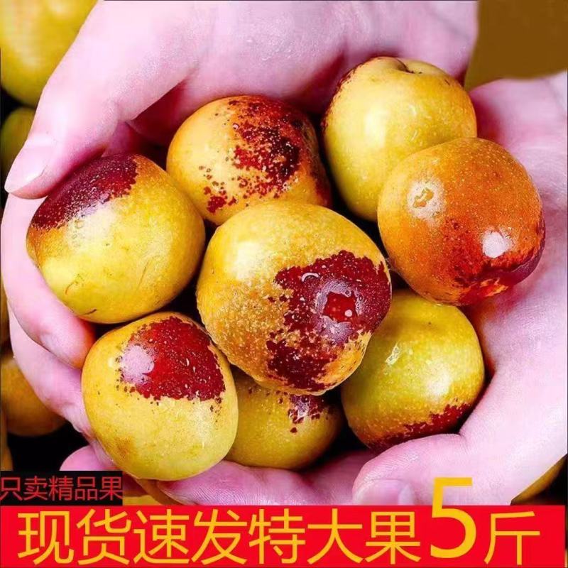 【沾化冬枣】山东产地直发可一件代发看货论价冬枣大枣