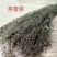 茅膏菜中药材货真价实诚信经营中药材合作共赢