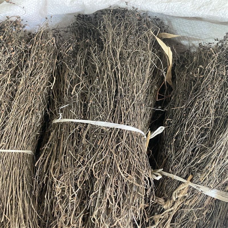 茅膏菜中药材货真价实诚信经营中药材合作共赢