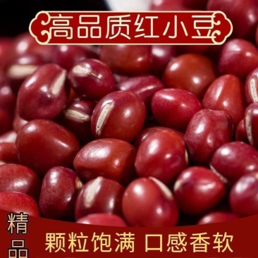 红豆红小豆珍珠红，农安红当季新货颗粒饱满厂家直销