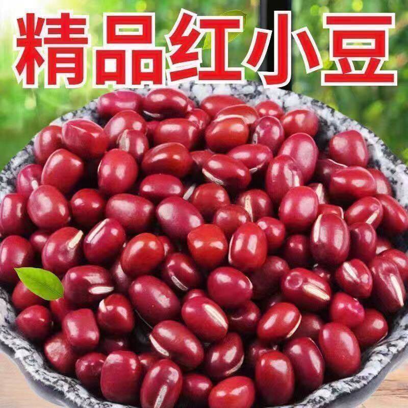 红豆红小豆珍珠红，农安红当季新货颗粒饱满厂家直销